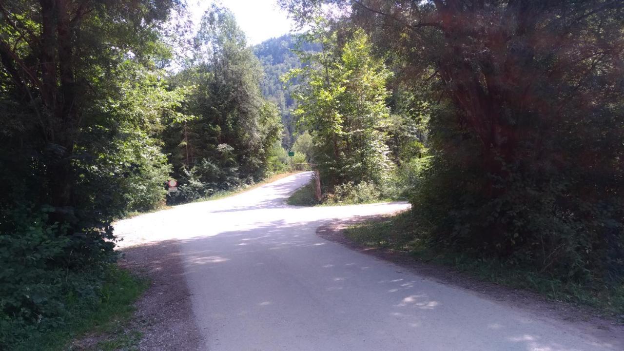Apartma Lara Bled Exteriör bild